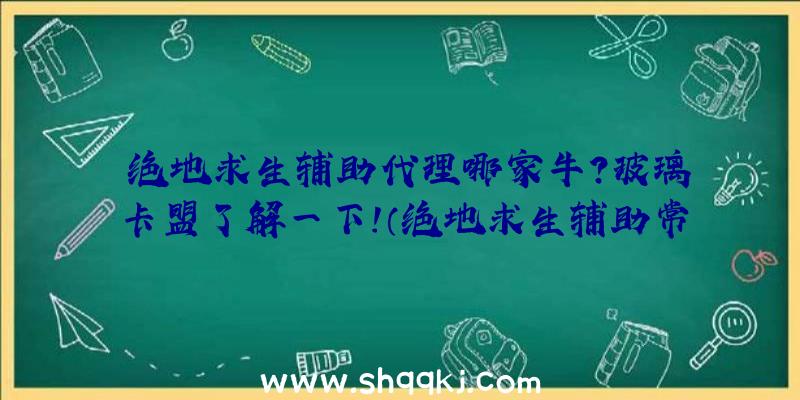 绝地求生辅助代理哪家牛？玻璃卡盟了解一下！（绝地求生辅助常用工具代理商）